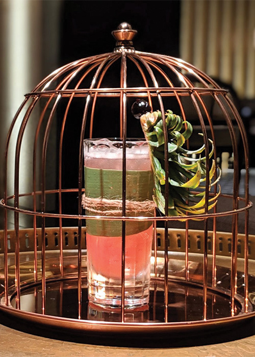 The Jungle Bird is one of the most popular cocktails in the world