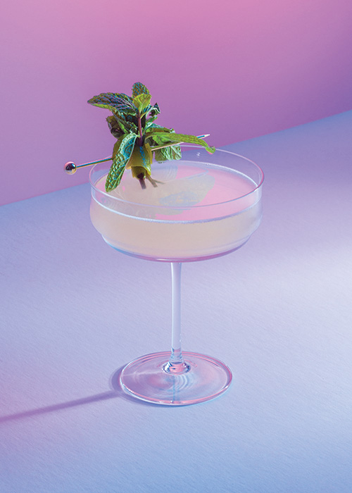 The Southside is one of the world's most popular cocktails and is garnished with a large sprig of mint