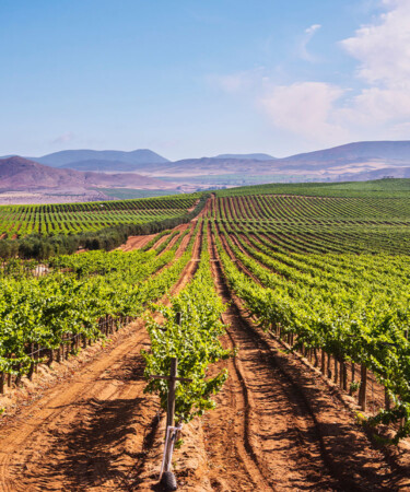 10 American Wine Regions That Deserve More Recognition