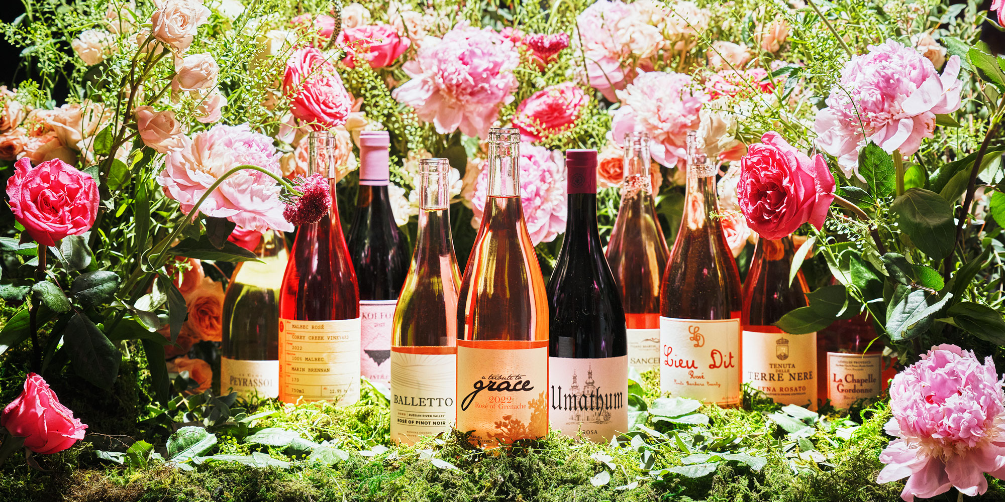 The 30 Best Rosé Wines of 2023