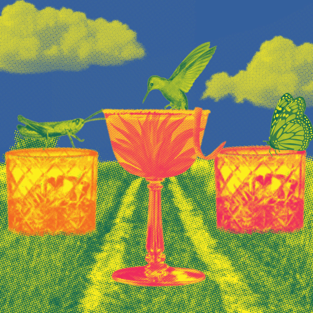 Introducing Del Maguey Mezcal’s New Chapter VIDA Puebla VinePair