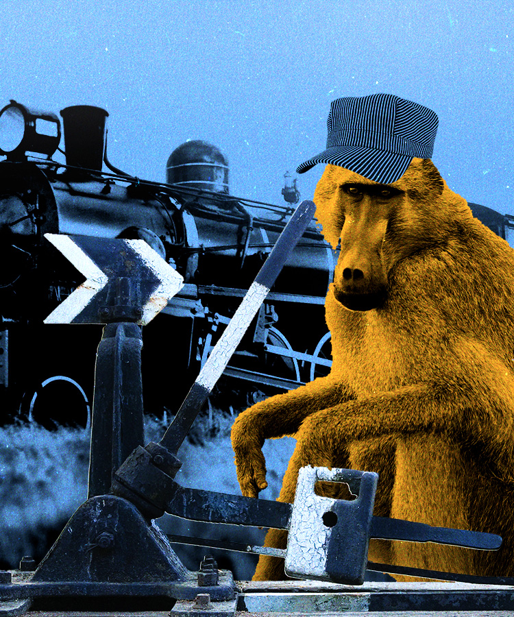 Monkey Business: This Baboon Was Paid in Beer to Operate a South African Railway