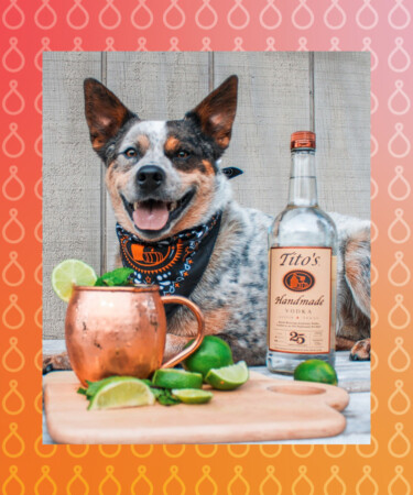 ‘Vodka for Dog People’ Tito’s Gifts $50K to New York Rescue Shelter
