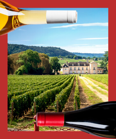 10 of the Best Red and White Bourgogne Wines