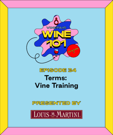 Wine 101: Terms: Vine Training