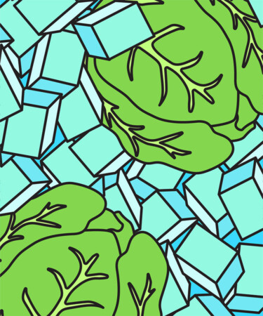 Iceberg Lettuce’s Name Actually Has Nothing to Do With How Crisp It Is