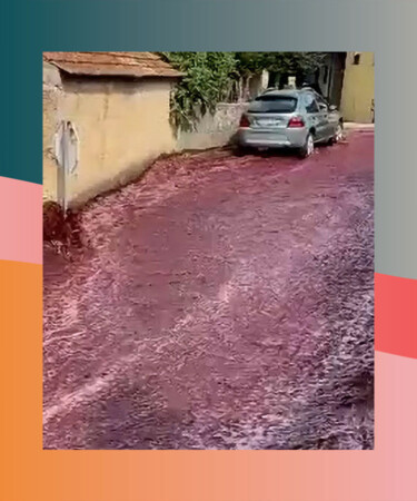 2.2 Million Liters of Red Wine Just Flooded a Portuguese Town