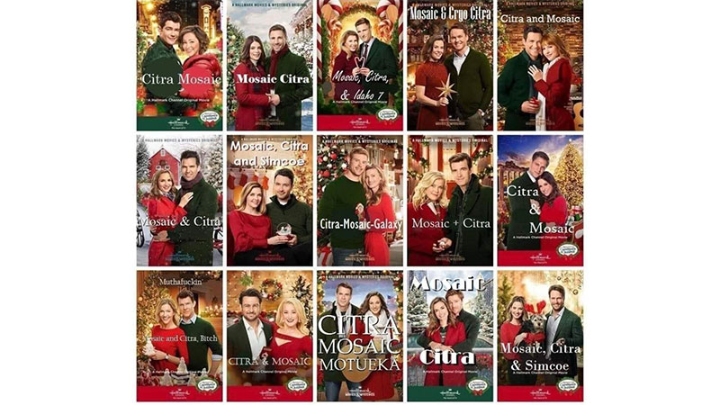 If IPA combinations were Hallmark Christmas movies, this is what the posters would look like. 