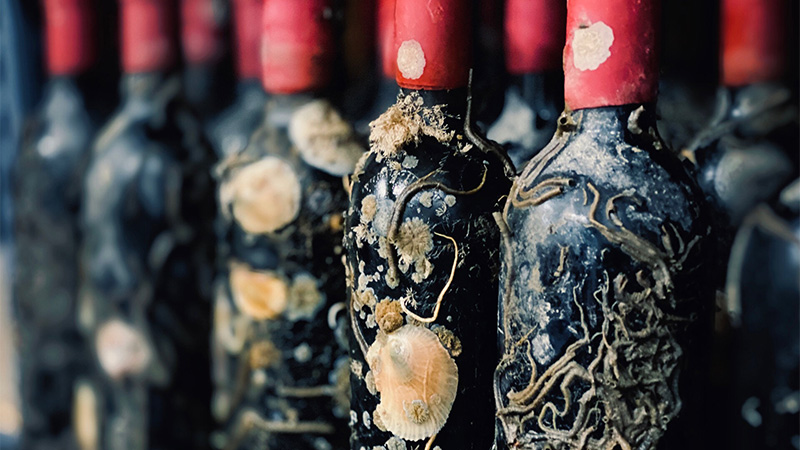Bottles of wine sold by Ocean Fathoms that had been aged under water for just one year.