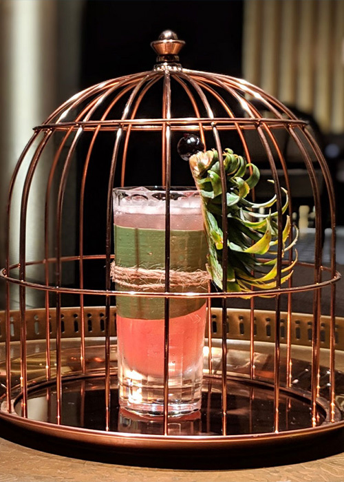 The Jungle Bird is one of the most essential and popular rum cocktails for 2023. 