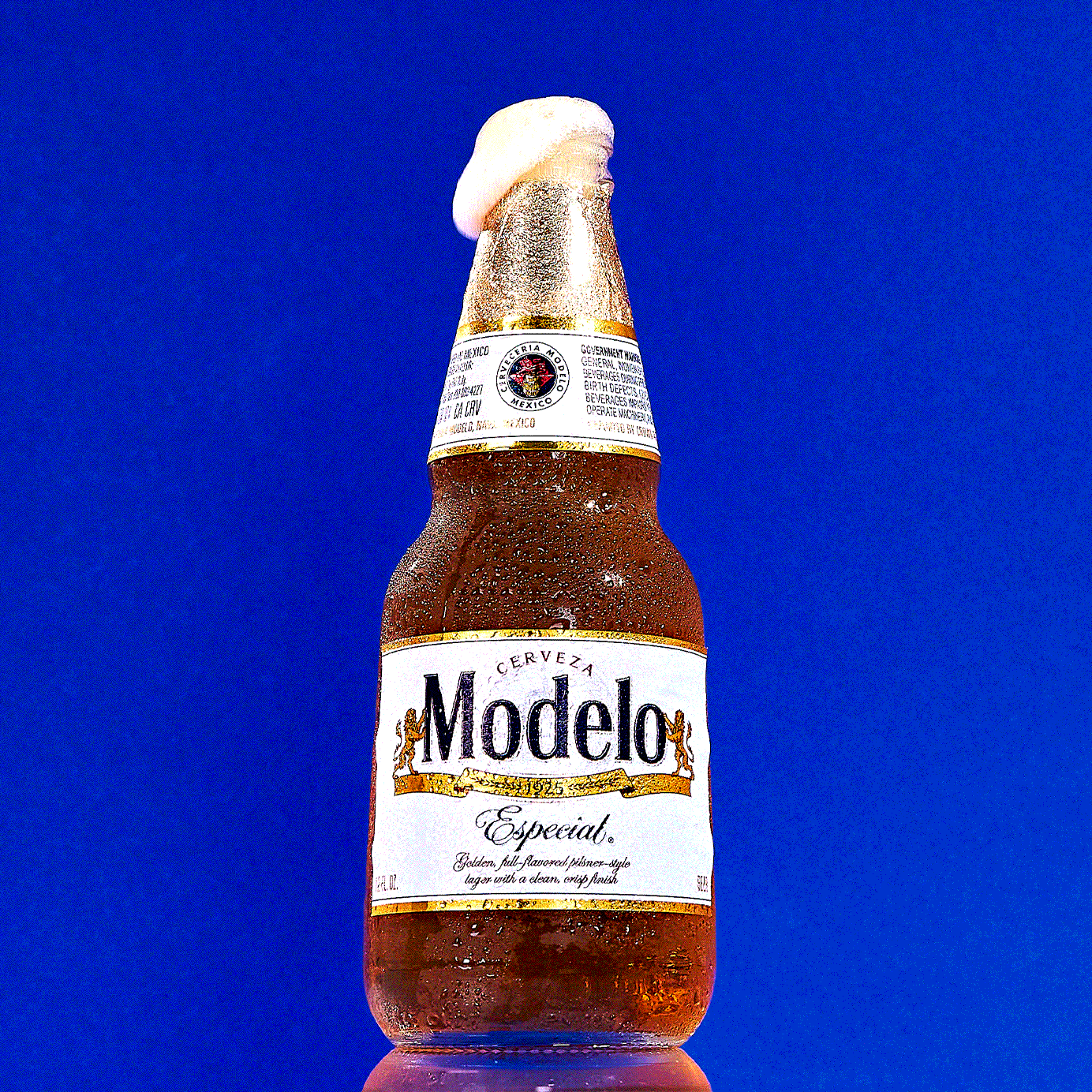 Modelo Especial Clone Recipe  : Craft Your Own Authentic Brew