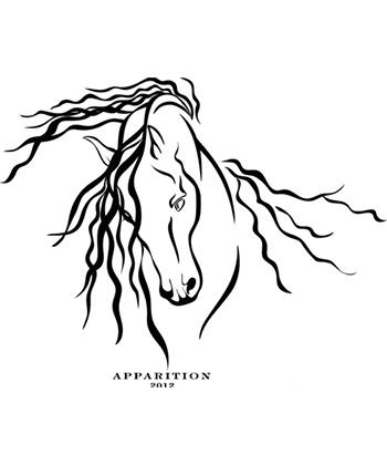 Ghost Horse Vineyard Apparition is one of the most expensive wines in the world from Napa Valley.