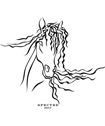 Ghost Horse Spectre is one of the most expensive wines in the world from Napa Valley.