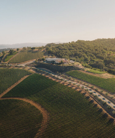 Treasury Wine Estates Acquires California’s DAOU Vineyards in $900 Million Deal