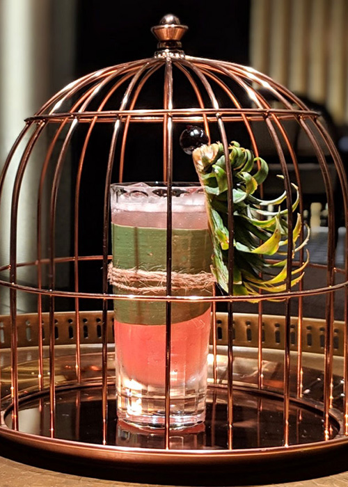 The Jungle Bird is one of the best Campari cocktails beyond the Negroni. 