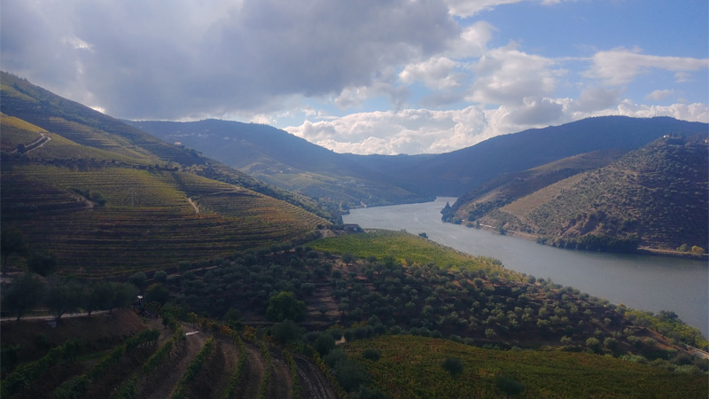 Dry Douro Wines Are Challenging Port’s Status as King of the Valley