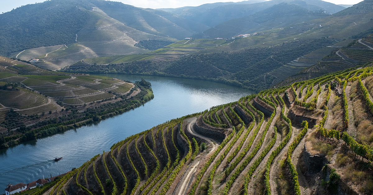 Dry Douro Wines Are Challenging Port’s Status as King of the Valley ...