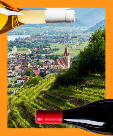 8 of the Best Red Wines From Austria