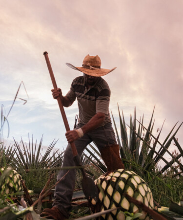 How Tequila Ocho Became Leaders in the Additive-Free Space