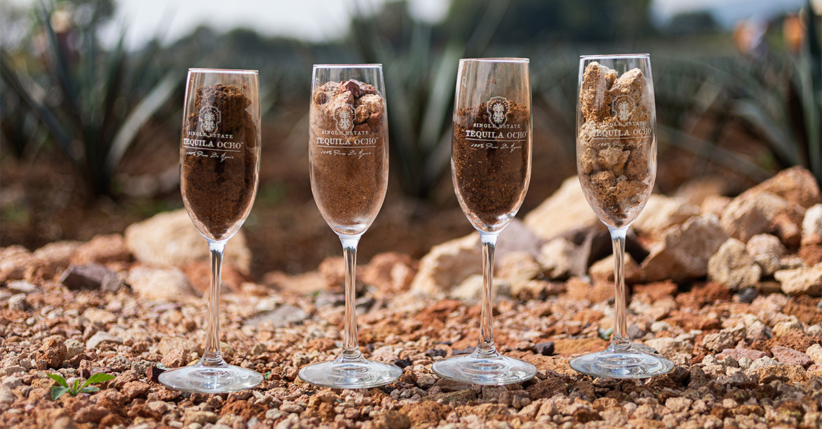 Tequila Ocho's Jesse Estes Explores Terroir A Journey With the World’s