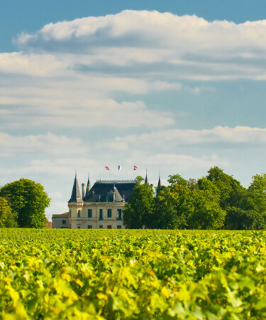 AI Correctly Identifies Bordeaux Wine Chateaus, But Does This Prove Terroir Is Real?