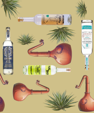 Puntas — a High-ABV, Hyper-Traditional Style of Mezcal — Is Going Commercial