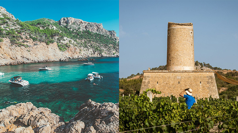 Mallorca, Spain is one of the world's top 10 wine destinations for 2024. 