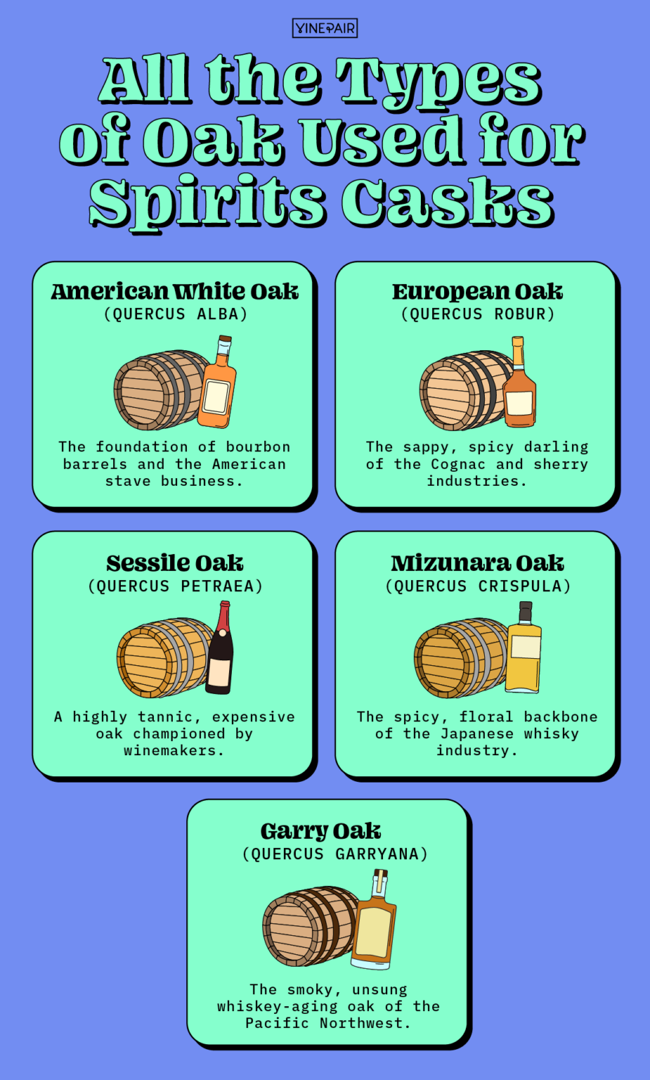 All the Types of Oak Used for Spirit Casks [Infographic] | VinePair