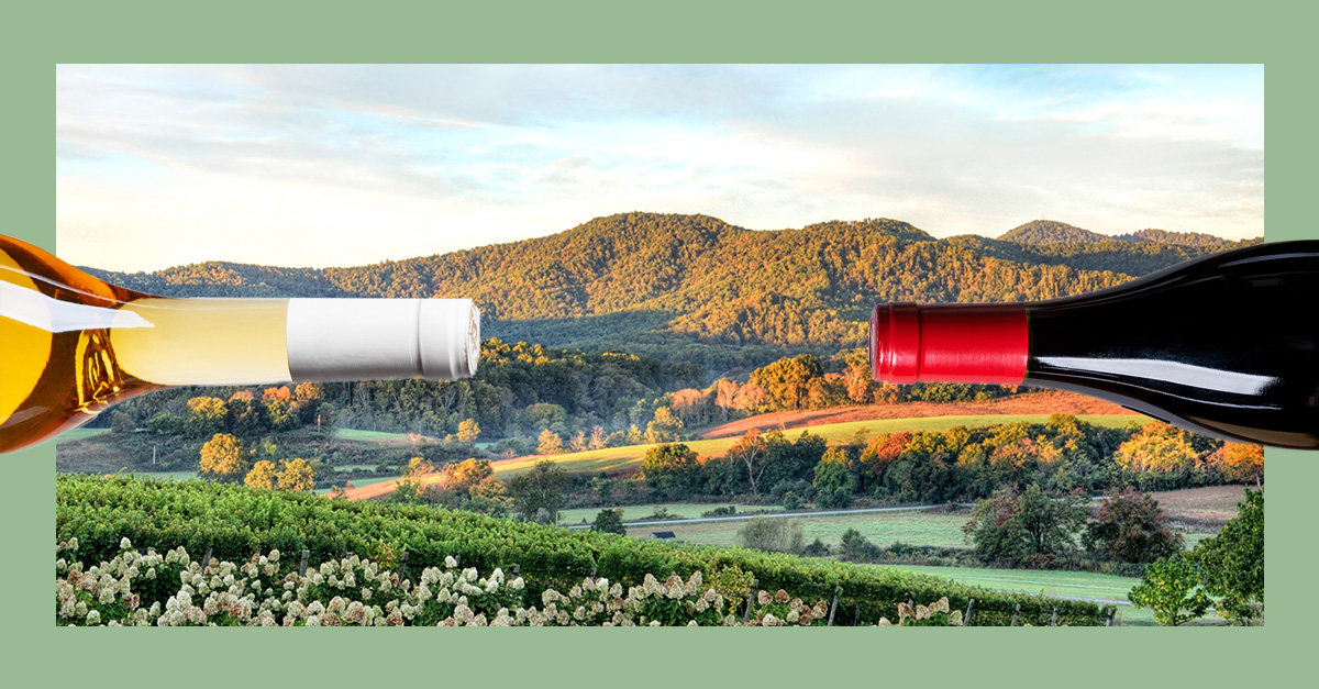 BEST WINE BEER STORE VIRGINIA visual data 7