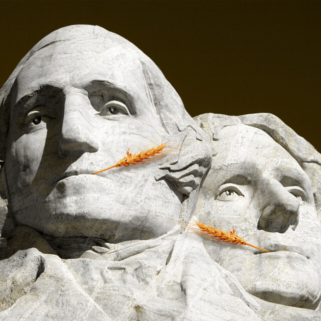 The Mount Rushmore of Rye, According to 7 Whiskey Experts