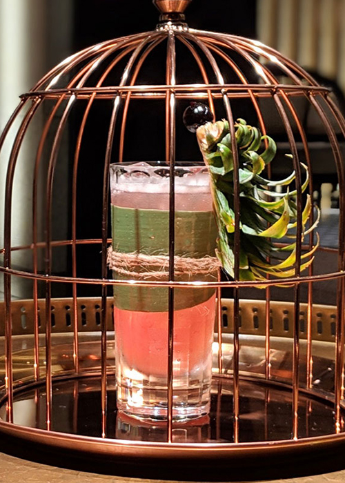 The Jungle Bird is one of the most popular cocktails in the world. 