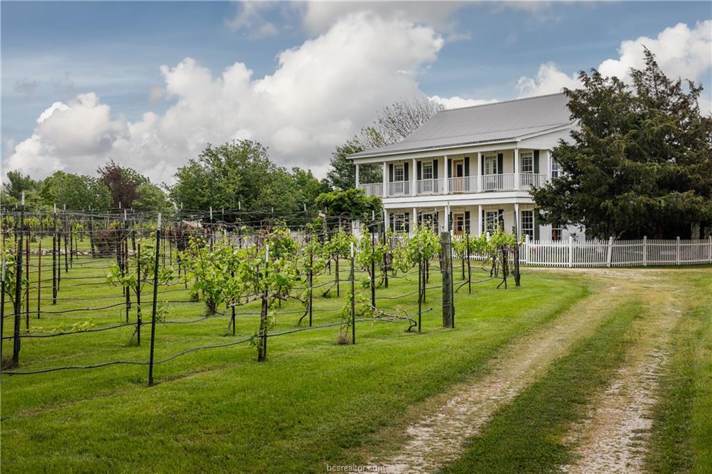 A Texas house with a vineyard currently on the market for $1.25 million.