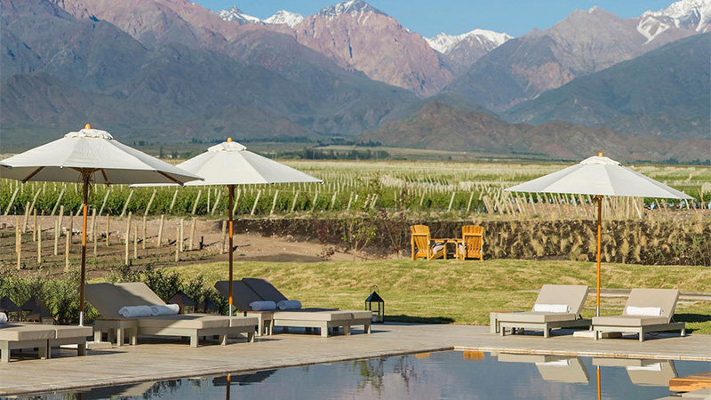 The Vines in Mendoza, Argentina is one of the best winery hotels to stay at in 2024. 