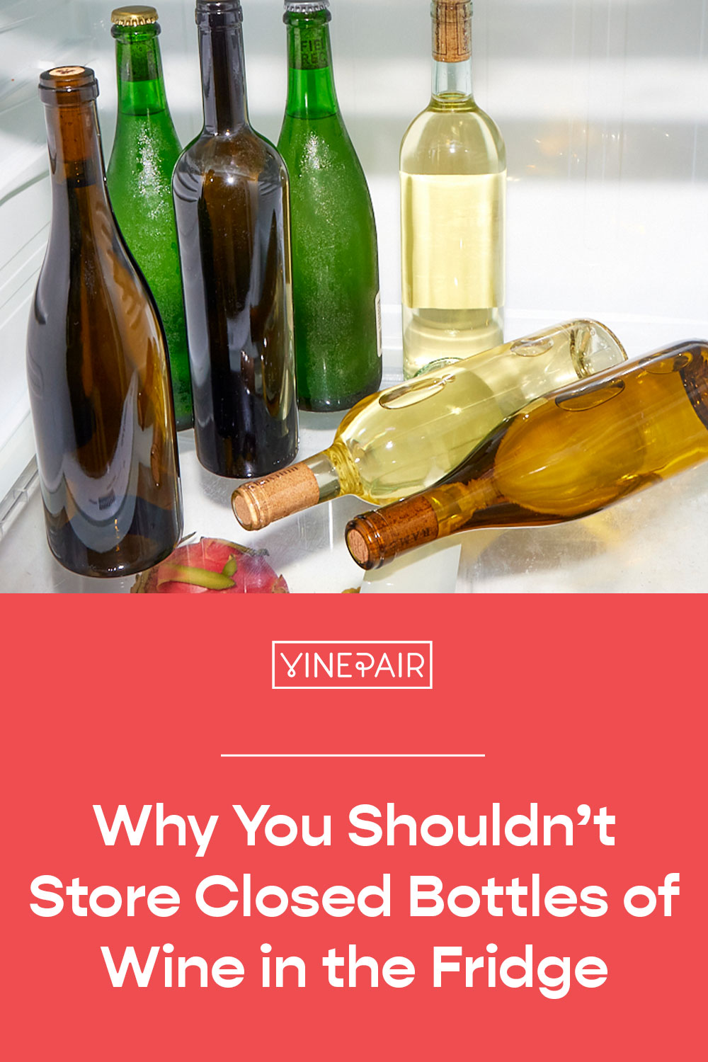 Why You Shouldn’t Store Closed Bottles of Wine in the Fridge | VinePair