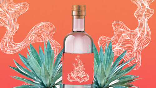 The 15 Best Mezcals for 2024