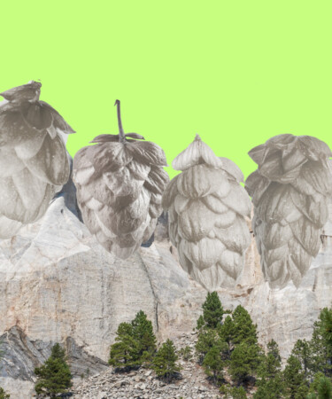 The Mount Rushmore of IPAs, According to 8 Beer Experts