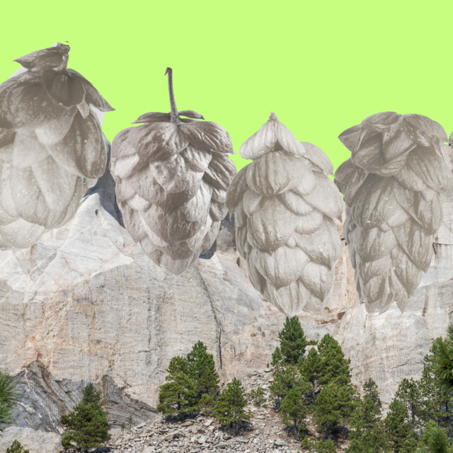 The Mount Rushmore of IPAs, According to 8 Beer Experts