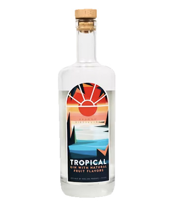 Beyond Distilling Company Tropical Gin is one of the best new gins, according to bartenders. 