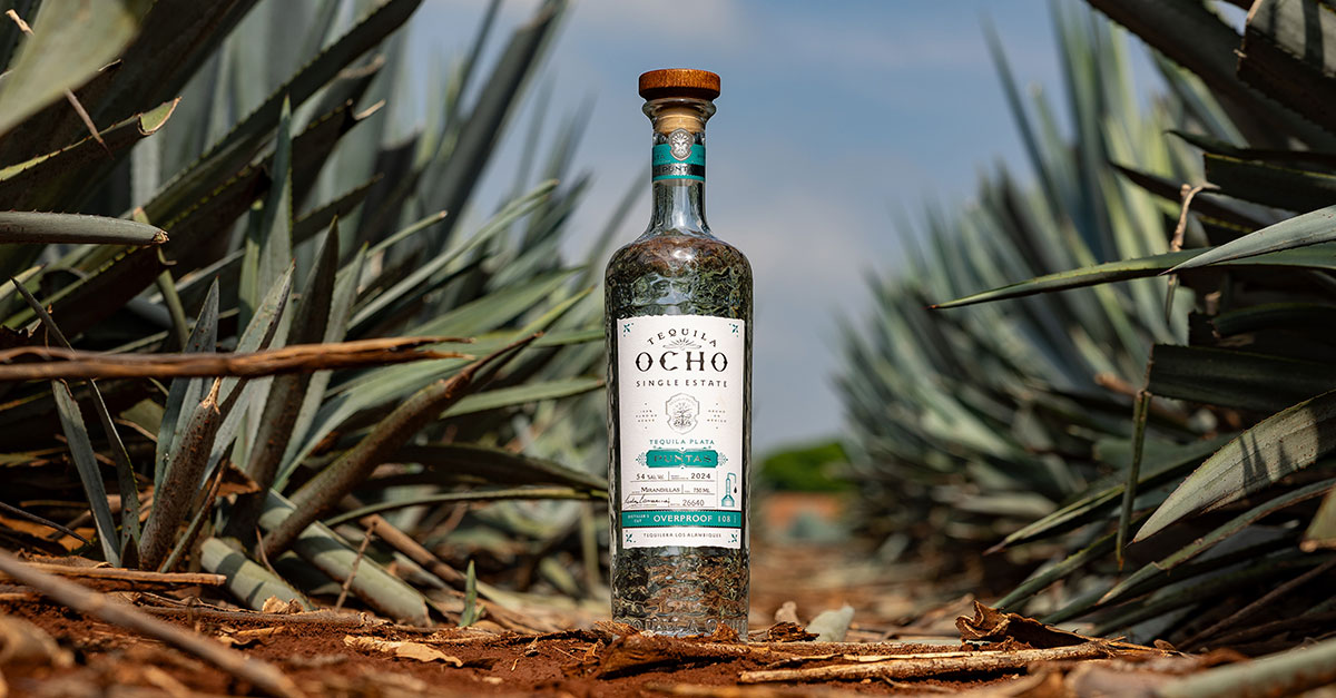 Tequila Ocho Debuts Plata Puntas 2024 at Its Highest Proof Yet VinePair