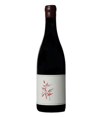 Arnot-Roberts Sonoma Coast Syrah