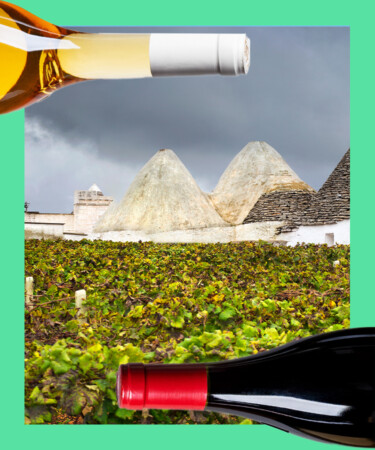 8 of the Best Red Wines From Italy’s Puglia