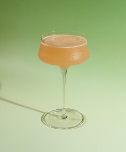 The Pendennis Club Cocktail