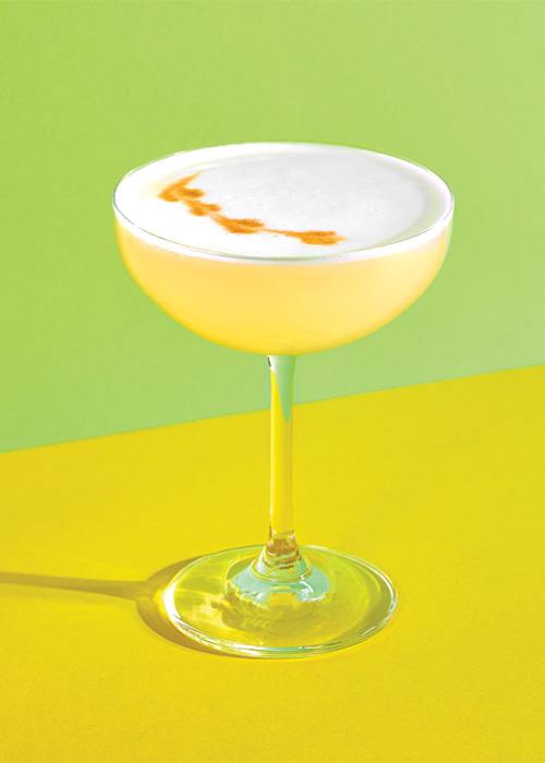 The Pisco Sour is one of the best brandy cocktails.