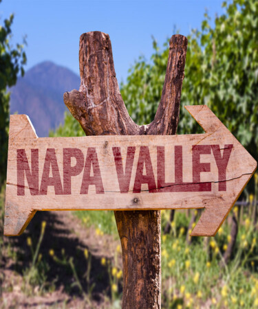 The 10 Most Expensive Napa Wines in the World (2024)