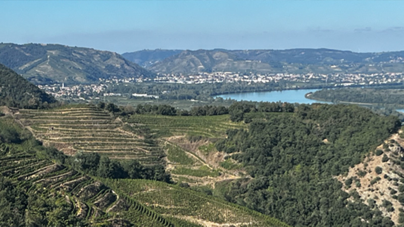 There are 32 appellations in the Rhône Valley, each producing marvelous wines. 