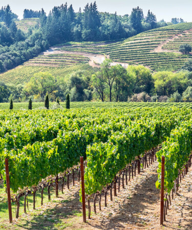 Welcome to Crystal Springs, Napa Valley’s First New AVA in 13 Years