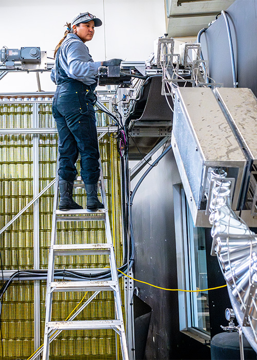 At Albuquerque's Bow & Arrow Brewing, craft beer transcends the pint glass and becomes a means for reclaiming agricultural histories.