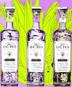 Next Wave Awards Spirits Brand of the Year: Tequila Ocho