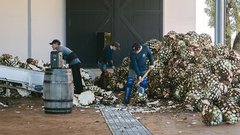 Founded by two agave legends, industry darling Tequila Ocho champions terroir, planet-friendly farming, and time in the Jalisco Highlands.