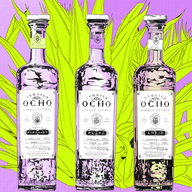 Next Wave Awards Spirits Brand of the Year: Tequila Ocho